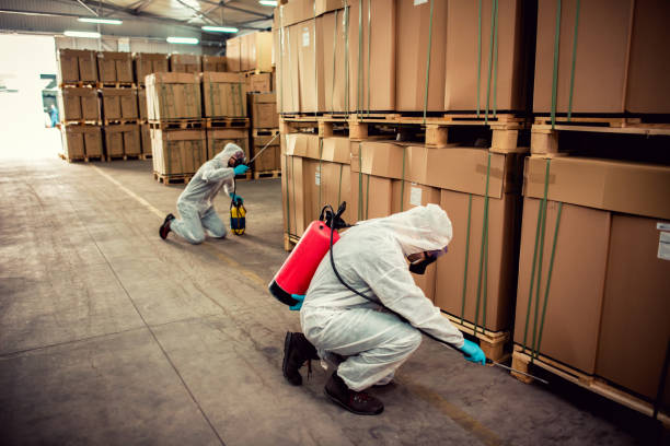 Best Pest Prevention Services  in Tashua, CT
