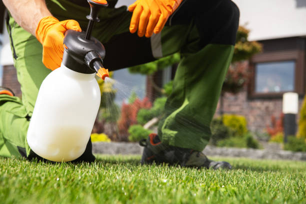 Best Residential Pest Control  in Tashua, CT