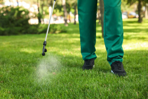 Best Pest Control Near Me  in Tashua, CT