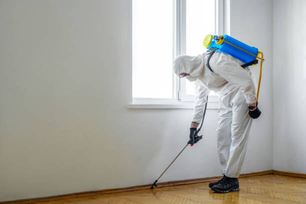Reliable Tashua, CT Pest Control Solutions
