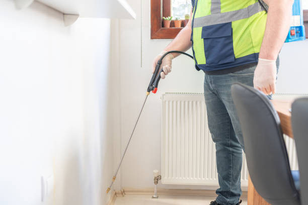 Best Mosquito Control Services  in Tashua, CT