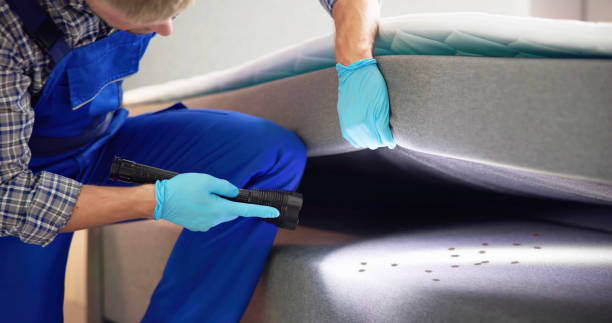 Best Bed Bug Extermination  in Tashua, CT