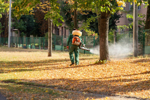 Best Bird Control  in Tashua, CT