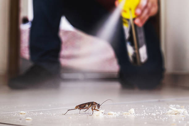 Best Exterminator Services  in Tashua, CT