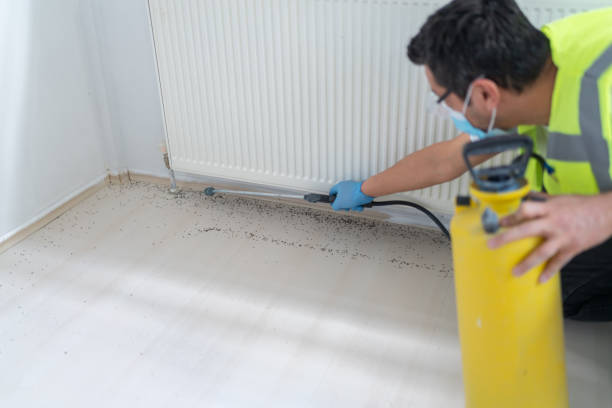 Best Exterminator Services  in Tashua, CT
