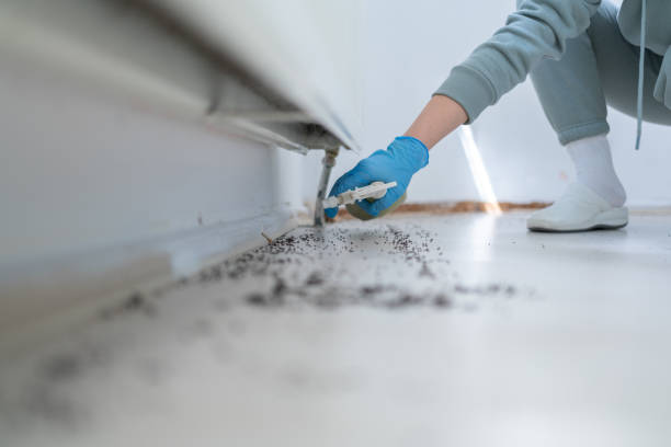 Pest Prevention Services in Tashua, CT